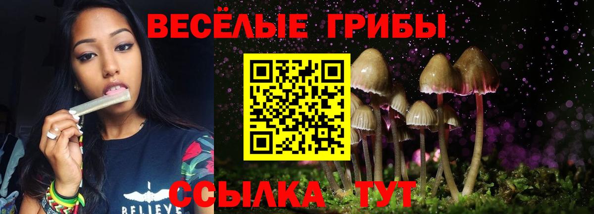 Галлюциногенные грибы Psilocybine cubensis  Галлюциногенные грибы мицелий  Домодедово  купить закладку  Вход с VPN 